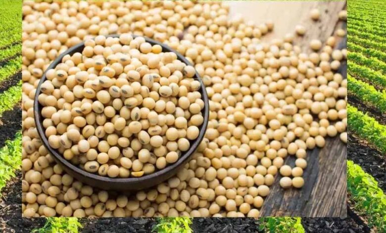 भावांतर योजना को गति देने मंडी बोर्ड लेगा 1,500 करोड़ का कर्ज