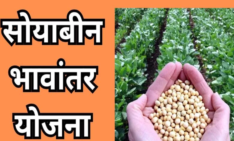 भावांतर-योजना-में-आज-बढ़कर-4130-रुपए-मॉडल-रेट-जारी