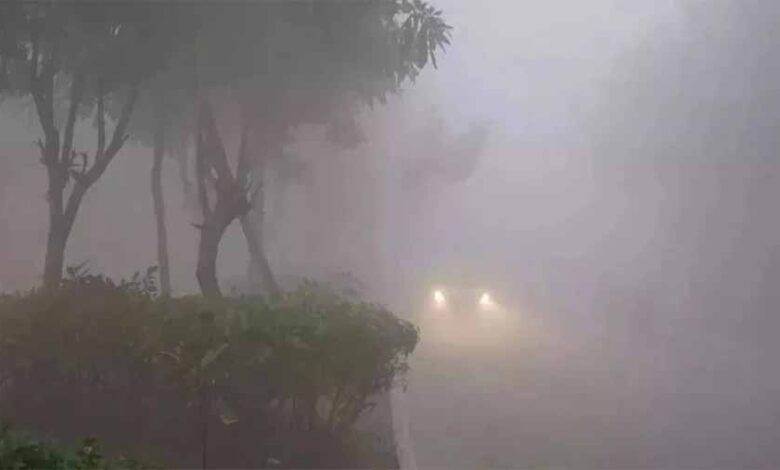 देशभर में बढ़ी ठंड, IMD ने MP-राजस्थान-CG में शीतलहर का रेड अलर्ट जारी