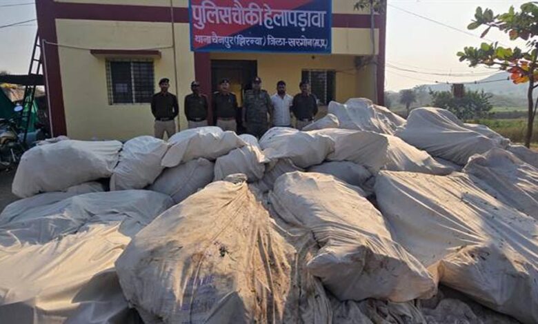 नशे के विरूद्ध खरगोन पुलिस की अब तक की सबसे बड़ी कार्रवाई पहाड़ी क्षेत्र में अवैध गांजा की खेती का भंडाफोड़