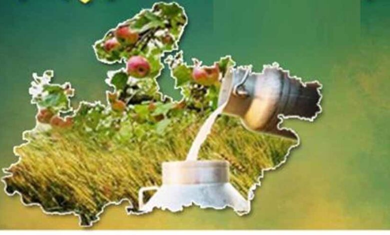 मध्यप्रदेश बना भारत का फूड-बास्केट, कृषि विकास में रचा नया इतिहास