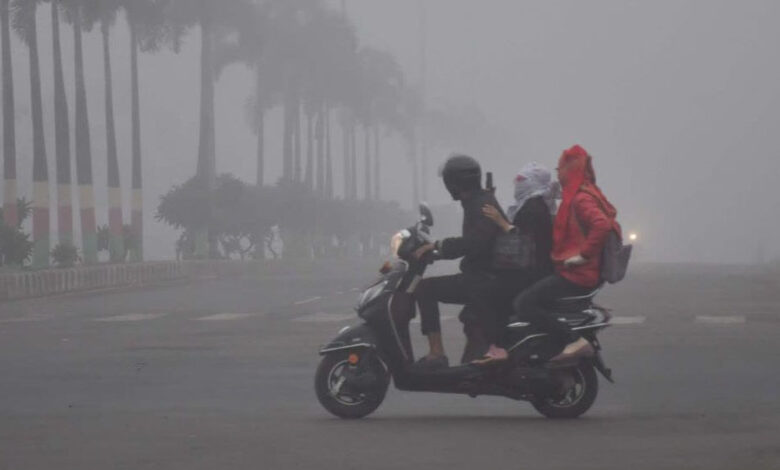 मध्य प्रदेश में कोल्ड वेव की चेतावनी, 5°C से नीचे जाएगा पारा; 9 जिलों में बदली स्कूल टाइमिंग