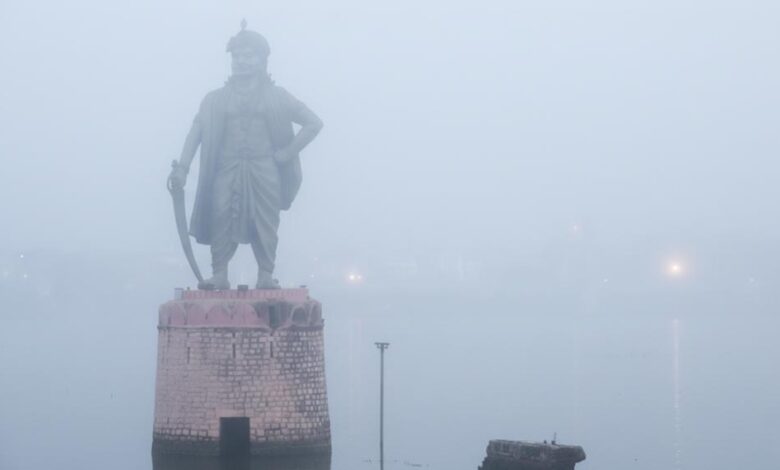 मध्यप्रदेश में शीतलहर का कहर, 21 जिलों में पारा 10° से नीचे; राजगढ़ सबसे ठंडा
