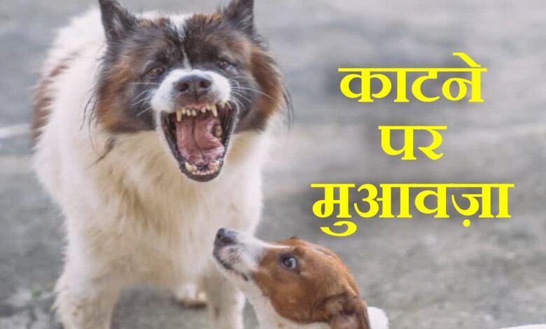 कर्नाटक सरकार का बड़ा फैसला: कुत्ते के काटने से मौत पर परिवार को 5 लाख, चोट-निशान पर 5 हजार रुपये मुआवजा