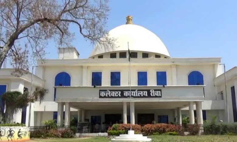 रीवा प्रशासन का खास ऑफर: बीएलओ और सरकारी कर्मचारियों को फ्री मूवी, डिनर और टाइगर सफारी टिकट