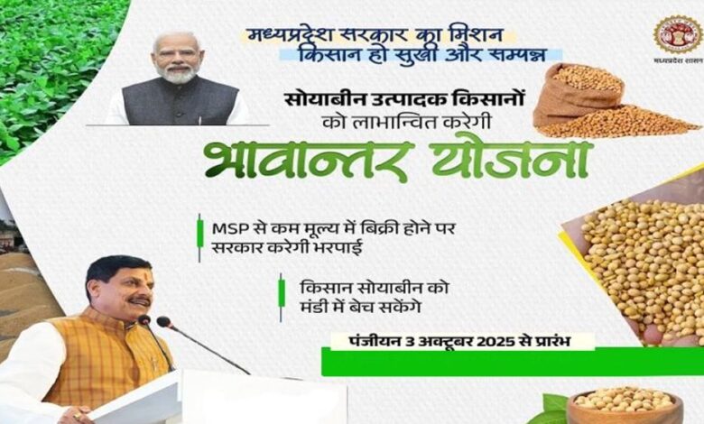 भावांतर योजना में सोयाबीन का मॉडल रेट बढ़कर हुआ 4271 रुपए