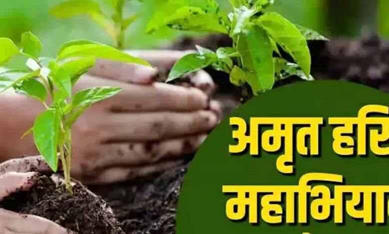 अमृत हरित महाअभियान के लिये संभागवार बैठकें, स्थानीय नर्सरियों को सुदृढ़ करने के निर्देश