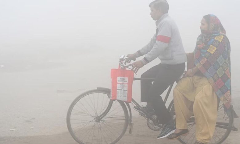 मध्य प्रदेश में घना कोहरा: शाजापुर में 100 मीटर से कम विजिबिलिटी, पारा 10°C से नीचे