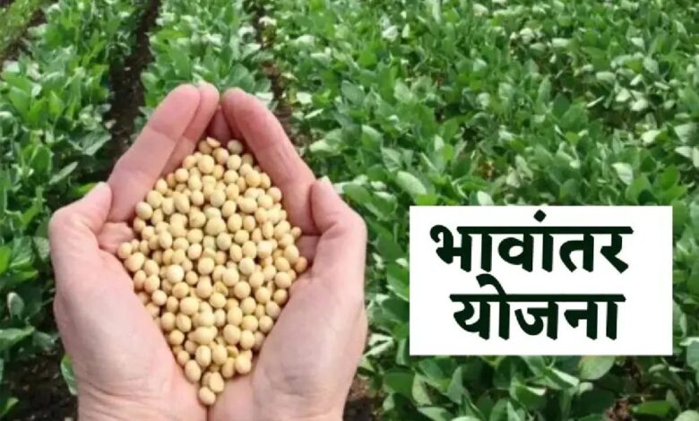 भावांतर योजना में सोयाबीन का मॉडल रेट बढ़कर हुआ 4285 रुपए