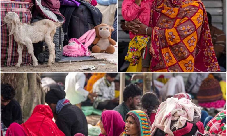 हाकिमपुर बॉर्डर पर हड़कंप: अवैध बांग्लादेशियों का चौंकाने वाला कबूलनामा—‘बंगाल में चार बार दिया वोट’