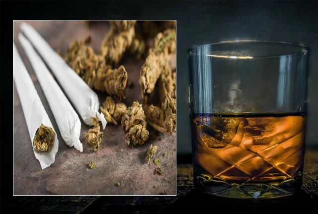 शराब की खपत में गिरावट, लेकिन बढ़ रहा है गांजा सेवन—क्या यही है असली वजह?