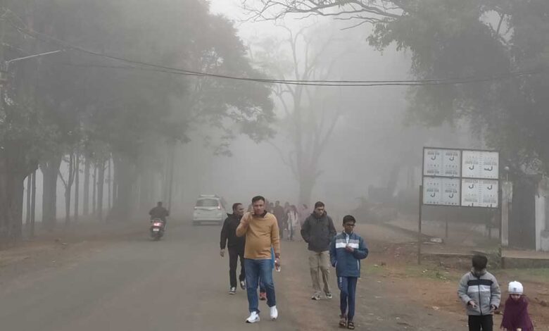 उत्तर भारत में मौसम की उथल-पथल: अगले 48 घंटे में भयंकर ठंड, 4 सक्रिय सिस्टमों का असर