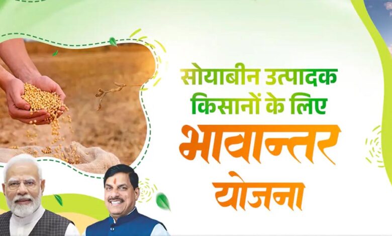 भावांतर योजना में सोयाबीन का मॉडल रेट 4260 रुपए जारी