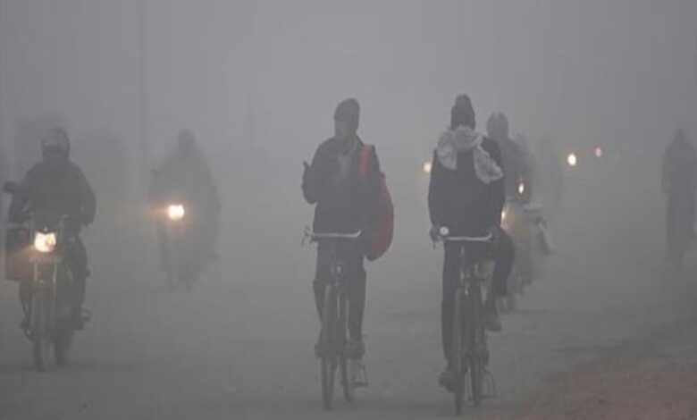 नवंबर में 84 साल का रिकॉर्ड टूटा, दिसंबर में MP में ठंड का कहर: भोपाल, इंदौर, उज्जैन और ग्वालियर में कोल्ड वेव का अलर्ट