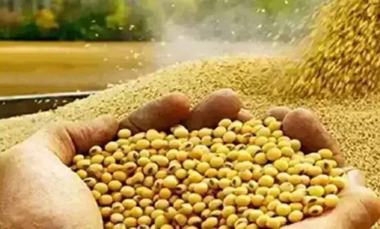 भावांतर योजना में सोयाबीन का मॉडल रेट 4239 रुपए जारी