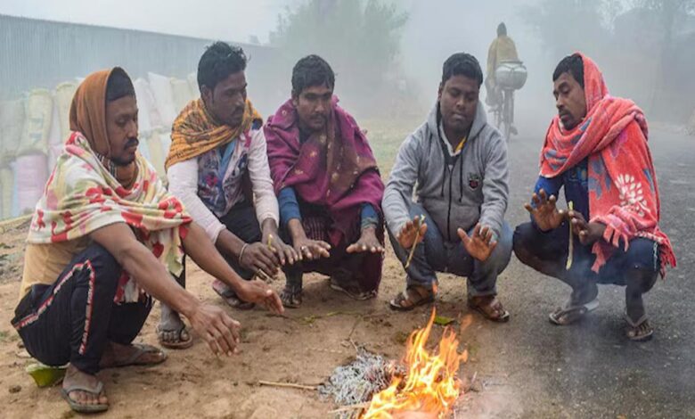 MP में कोल्ड वेव का कहर, बर्फीली हवाओं से बढ़ी कंपकंपी, कई जिलों में शीतलहर का अलर्ट