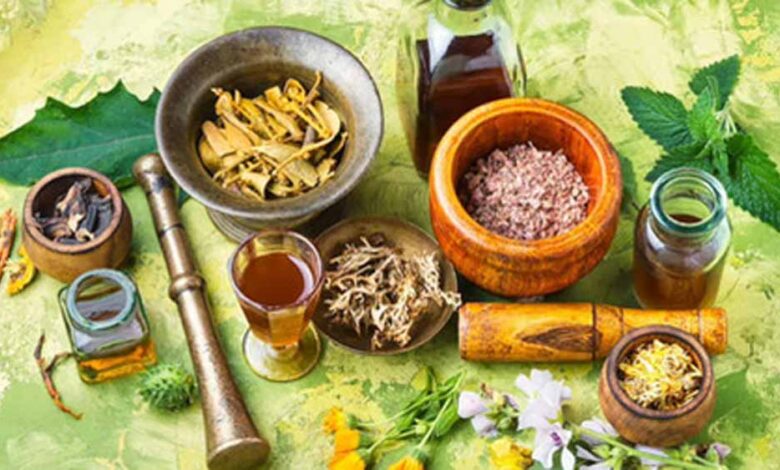 भृंगराज से त्रिफला तक: रूस में भारतीय आयुर्वेद की जबरदस्त एंट्री, बढ़ता वैश्विक भरोसा