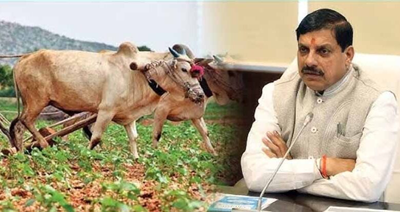 एक बीघा से एक लाख रूपए की कमाई करने वाले किसानों को किया जाए सम्मानित: मुख्यमंत्री डॉ. यादव