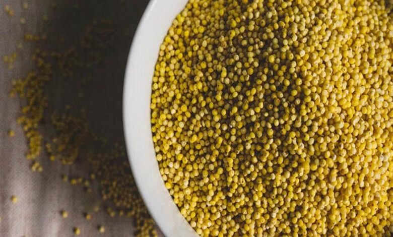 इंदौर-में-12-से-14-दिसंबर-तक-आयोजित-होगा-जैविक-खेती-और-स्वाद-का-महोत्सव