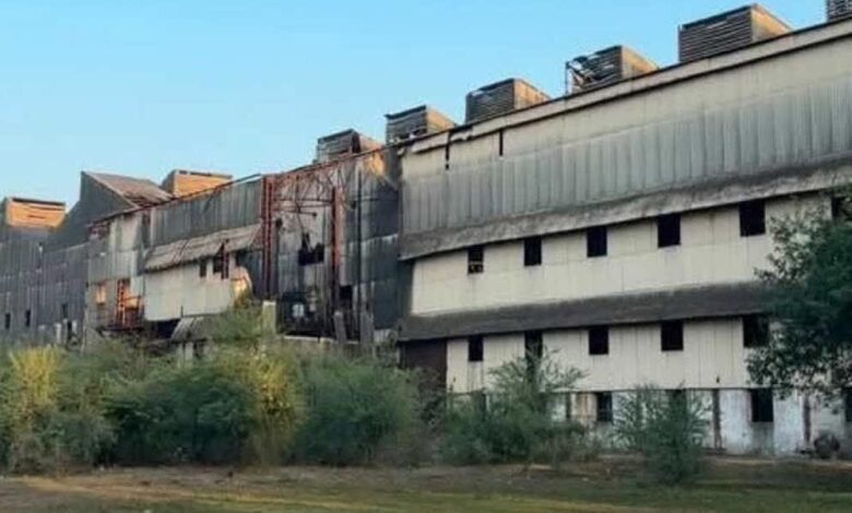 कैलारस शुगर मिल नए साल से पहले हो सकता है चालू, 10 हजार किसान देंगे गन्ना