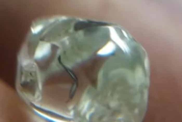 पन्ना में लकवाग्रस्त किसान की किस्मत चमकी, 3.39 कैरेट का हीरा मिला—कीमत जानकर दंग रह जाएंगे