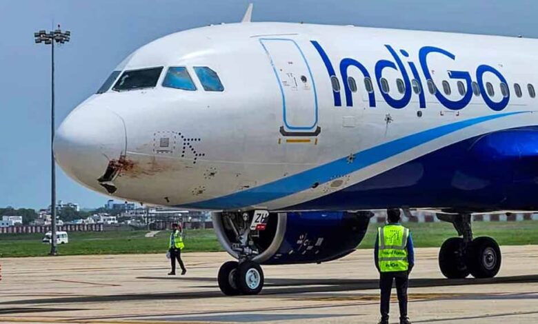 इंडिगो संकट में कैंसर पीड़ित कैप्टन को बनाया गया बलि का बकरा, पहले ही दे चुके थे इस्तीफा: एविएशन एक्सपर्ट