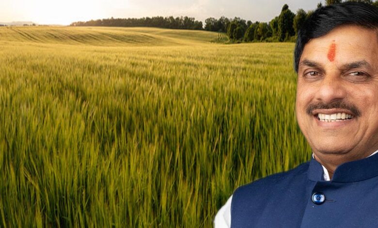 मोहन सरकार के दो साल: मध्य प्रदेश में खाद्यान्न उत्पादन में रिकॉर्ड 55 लाख टन की वृद्धि, खेती में नया कीर्तिमान