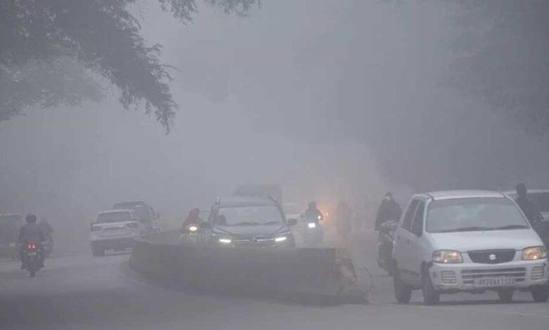 MP में शहडोल का कल्याणपुर बना सबसे ठंडा, पारा गिरकर 4.7°C तक पहुंचा; भोपाल-इंदौर में 7°C से कम, अगले 3 दिन शीतलहर का अलर्ट