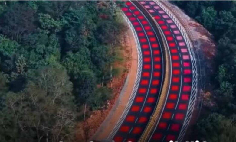 वन्यजीव-संरक्षण-में-ऐतिहासिक-कदम:-मध्य-प्रदेश-के-नेशनल-हाईवे-पर-बनी-भारत-की-पहली-‘रेड-रोड’