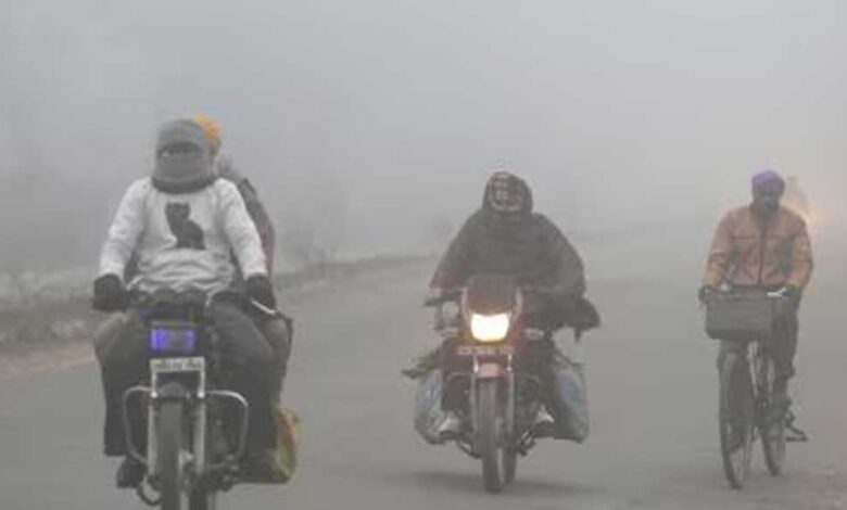mp-weather-report:-कड़ाके-की-ठंड-और-कोहरे-का-असर,-रीवा-सतना-में-दृश्यता-50-मीटर,-भोपाल-में-शीतलहर