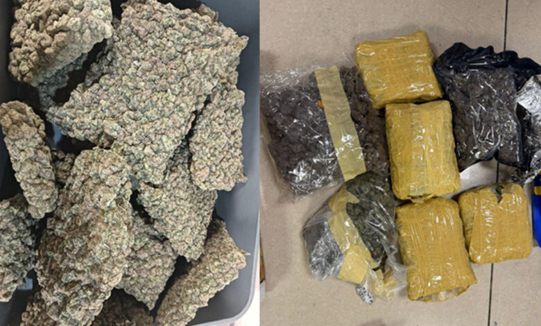 मुंबई एयरपोर्ट पर कस्टम्स का बड़ा ऑपरेशन, 33.42 किलो हाइड्रोपोनिक वीड जब्त