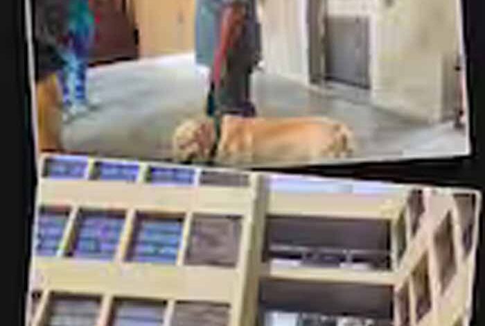 ‘हम बदला लेंगे’ की धमकी से हड़कंप: अहमदाबाद के स्कूलों को निशाना बनाने वाले खालिस्तानी कौन? पुलिस को क्यों है शक