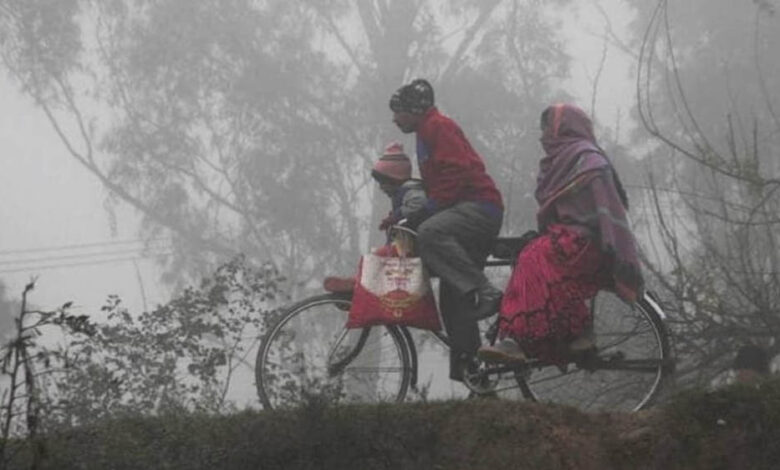 मध्य प्रदेश में कड़ाके की सर्दी, न्यूनतम तापमान 5°C के आसपास, कोहरे से यातायात प्रभावित