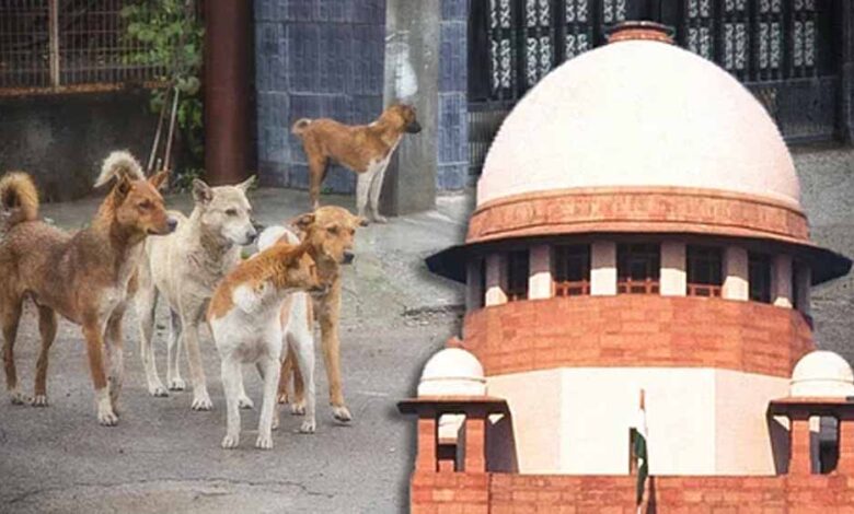 ‘मानवता क्या है, यह हम बताएंगे’—आवारा कुत्ते मामले में कोर्ट की सख्त टिप्पणी