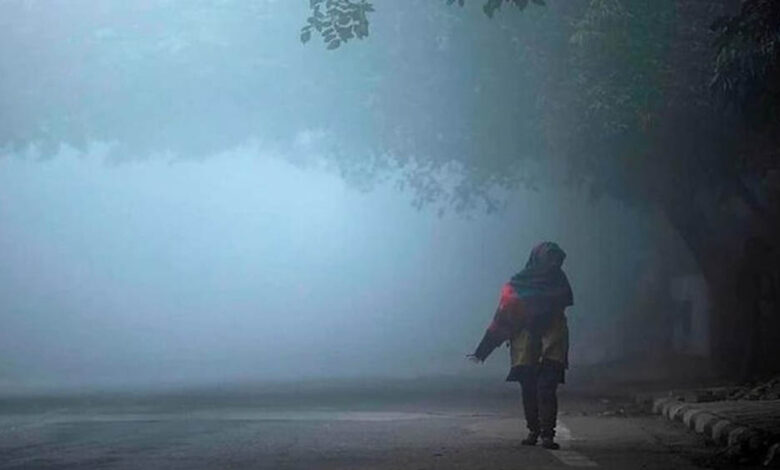 मध्यप्रदेश में बढ़ी ठंड, कई जिलों में घना कोहरा; दिल्ली रूट की ट्रेनें 5 घंटे तक लेट, उड़ानों पर भी असर