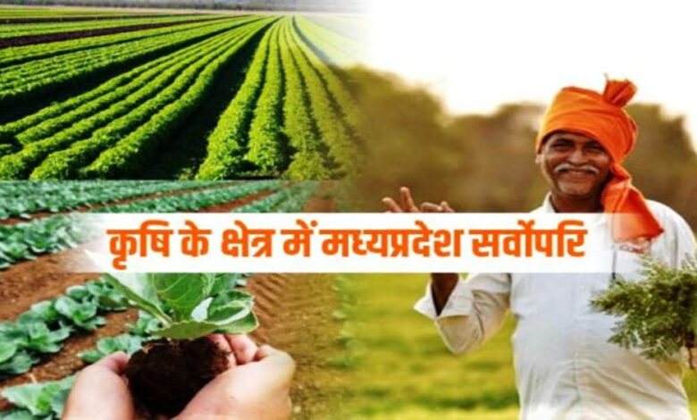 प्रधानमंत्री मोदी एवं मुख्यमंत्री डॉ. यादव के नेतृत्व में कृषि के क्षेत्र में प्रदेश लगातार कर रहा प्रगति – कृषि मंत्री कंषाना
