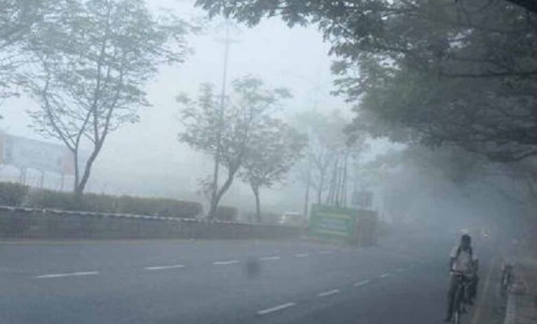 MP Weather Alert: ग्वालियर-चंबल समेत 20 जिलों में घना कोहरा, ऑरेंज-येलो अलर्ट जारी