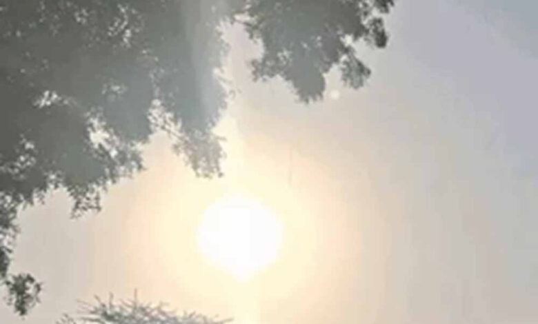 इंदौर में ठंड का कहर बरकरार, मामूली राहत के बावजूद शीतलहर के आसार