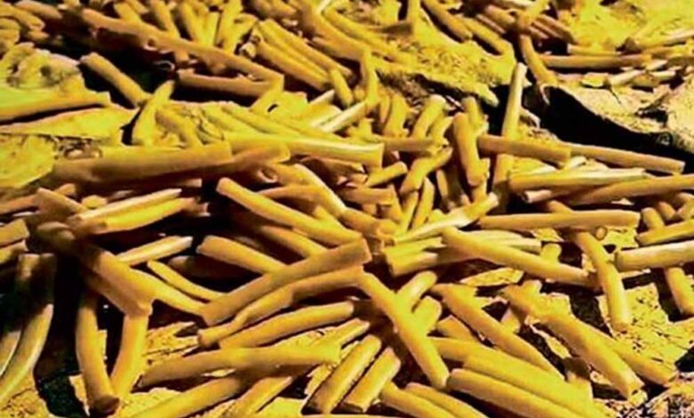 जबलपुर-में-फूड-फैक्ट्री-का-गंदा-सच-उजागर,-पैरों-से-कुचलकर-फ्राइज-मिलाते-मिले-कर्मचारी