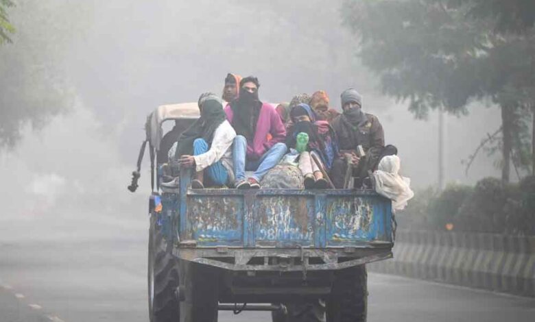 Cold Alert: उत्तर भारत में हाड़ कंपाने वाली ठंड, 7 दिन तक घना कोहरा; इन राज्यों में चलेगी शीतलहर