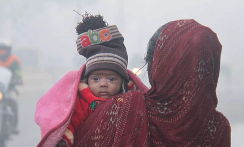 सावधान! हाड़ कंपाने वाली ठंड और घना कोहरा, IMD ने जारी किया अलर्ट