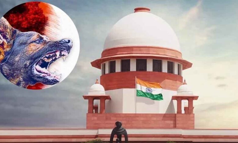 SC में सिब्बल की मांग– आवारा कुत्तों की हो नसबंदी, जज का तंज: काउंसिलिंग भी करवा दीजिए