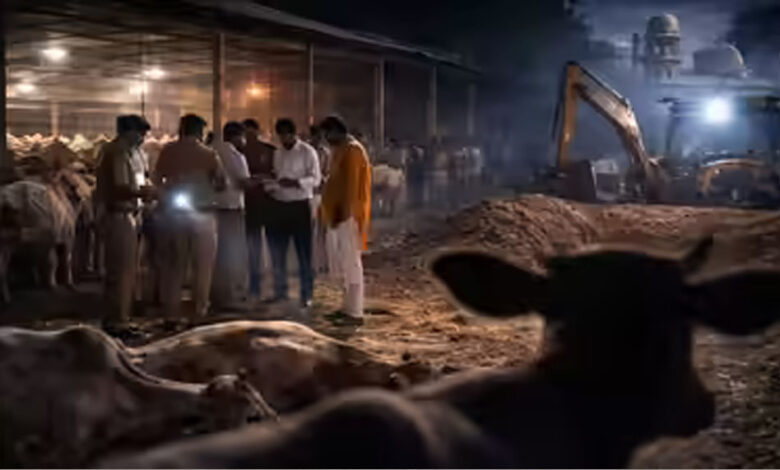 स्लॉटर हाउस कांड: दुधारू भैंसों को काटने का चौंकाने वाला सच, बछड़े और पाड़ों के अवशेष मिले