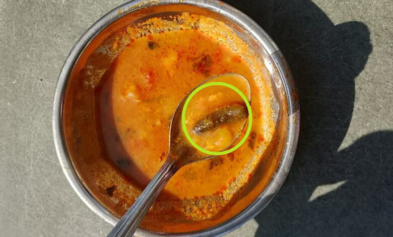 खंडवा:-खाने-में-3-इंच-की-इल्लियां,-विरोध-करने-पर-वार्डन-ने-कहा-तुम्हारी-निजी-बातें-उजागर-कर-दूंगी