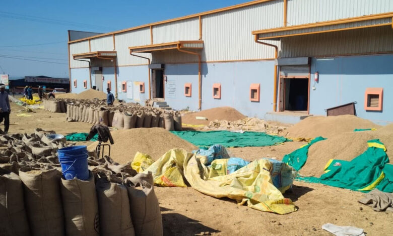 धान-खरीदी-में-पारदर्शिता-की-परीक्षा-में-सिवनी-सफल,-भोपाल-जांच-टीम-ने-दी-मुहर