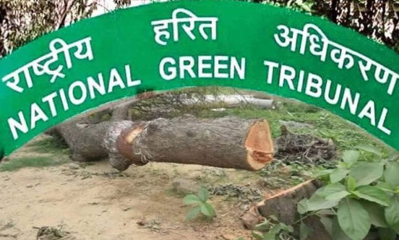 मध्य प्रदेश में 15 लाख पेड़ों की कटाई पर NGT का सवाल, वन महानिदेशक से मांगा जवाब