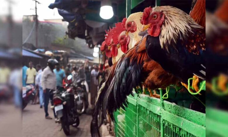 कोरापुट में यू-टर्न: गणतंत्र दिवस पर मांस बिक्री रोकने का आदेश प्रशासन ने लिया वापस