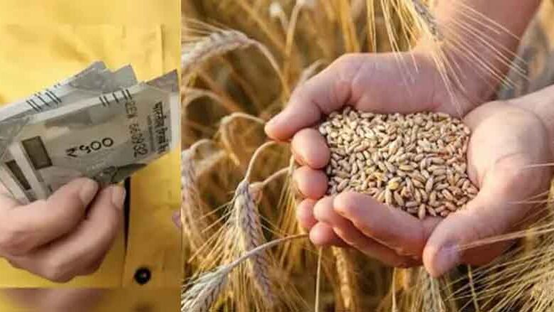 एमपी-में-गेहूं-खरीदी-का-बड़ा-ऐलान:-2585-रुपये-msp,-किसानों-के-लिए-जरूरी-निर्देश-जारी