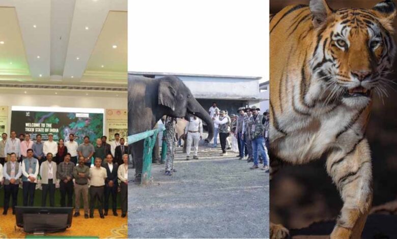 पन्ना में MP का पहला वन्यजीव-केंद्रित CSR कॉन्क्लेव, संरक्षण के लिए वन विभाग-उद्योग जगत साथ आए