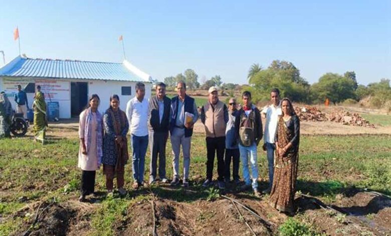 मिट्टी से जुड़ा हौसला बना पहचान पूजा माहौरे ने प्राकृतिक खेती से रची सफलता की मिसाल